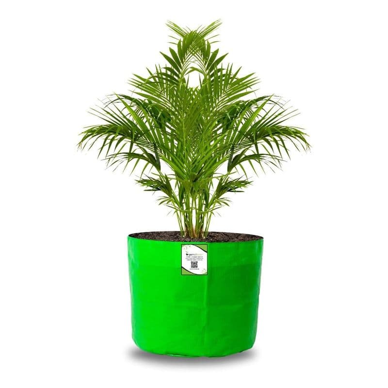 HDPE Grow Bags for Terrace Gardening - View 2