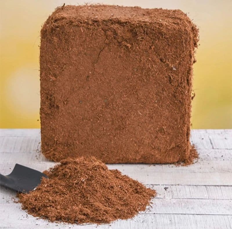 Cocopeat Block for Garden (Kg) - View 2