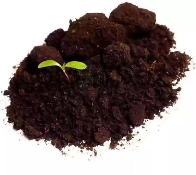 Vermicompost Plant Supplement Fertilizer for Gardening (Kg) - View 2