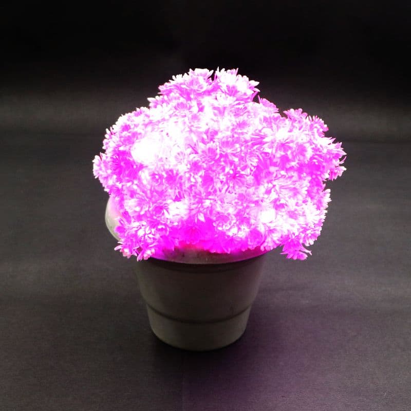Small Pink Flower With White Tip 60 LED String Fairy Lights - View 1
