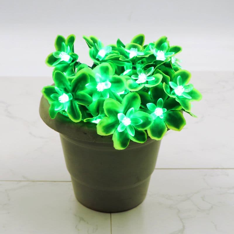 Green Silicon Flower 24 LED String Fairy Lights - View 1