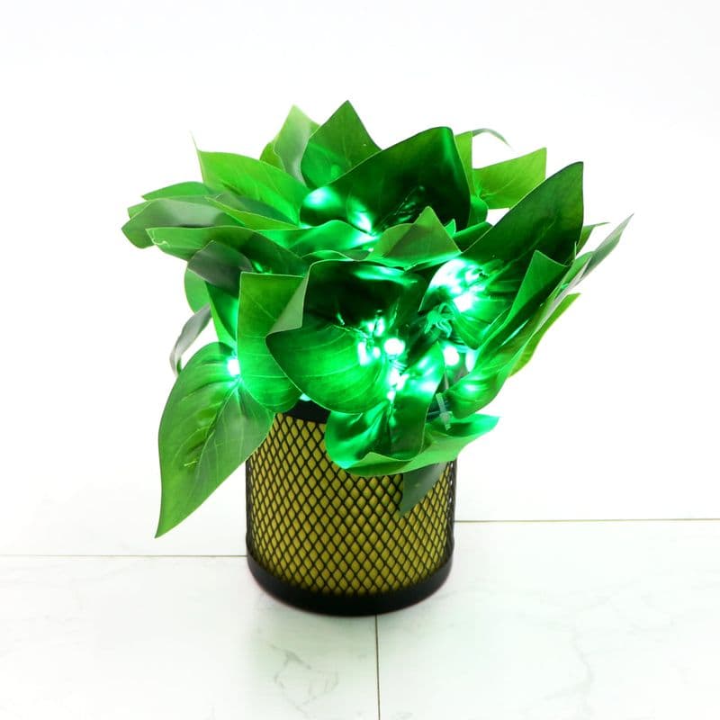 Big Dark Green Leaf 38 LED String Fairy Lights - View 1