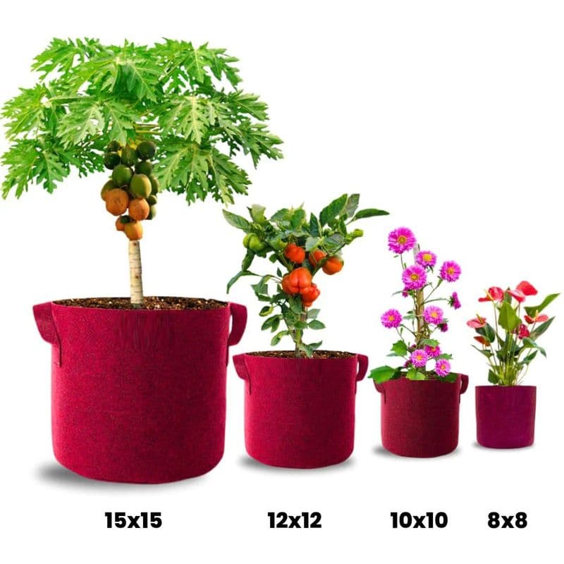 Geo Fabric Grow Bags For Plants - View 2