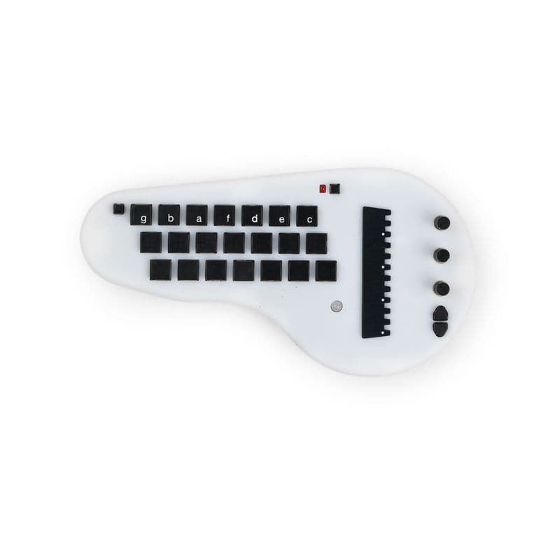 Minichord Synthesizer – Open-Source MIDI Instrument with 21 Chord Buttons - View 2