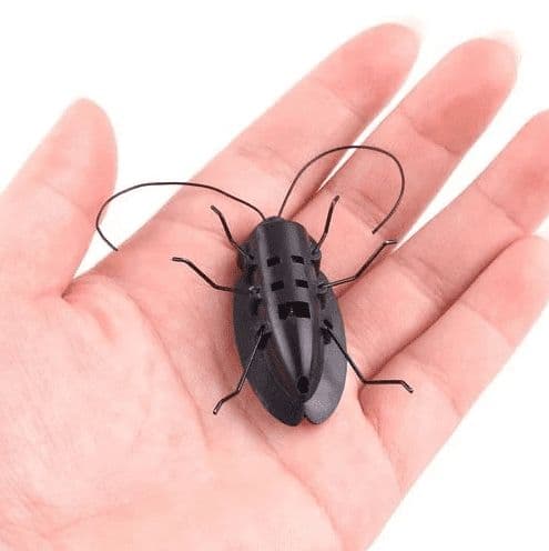 Solar powered Black Cockroach Bug Toy - View 2